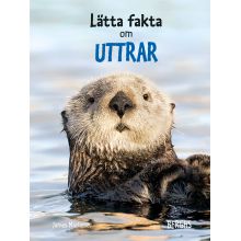 Lätta fakta om uttrar