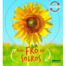 Från frö till solros