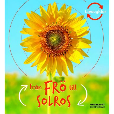 Från frö till solros
