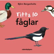 Titta 10 fåglar