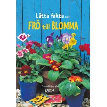 Lätta fakta om frö till blomma