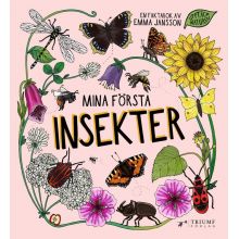 Mina första insekter