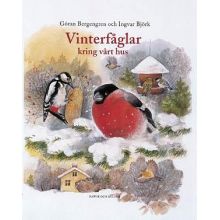 Vinterfåglar kring vårt hus