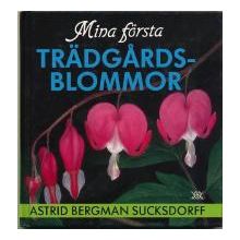 Mina första Trädgårdsblommor