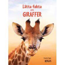 Lätta fakta om giraffer