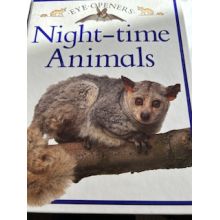 Night-time-Animals