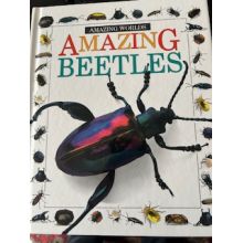 Amazing Beetles