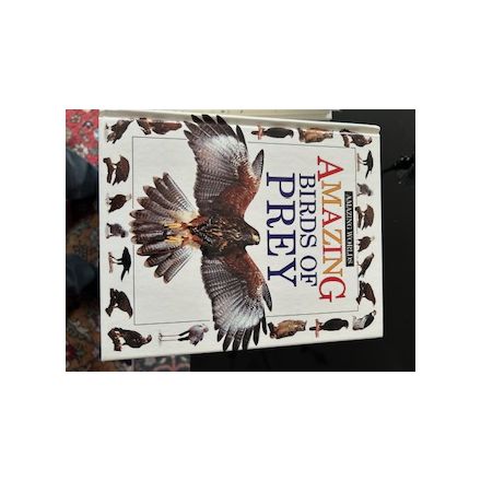 Amazing Birds of Prey