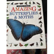 Amazing Butterflies & Moths