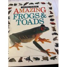 Amazing Frogs & Toads