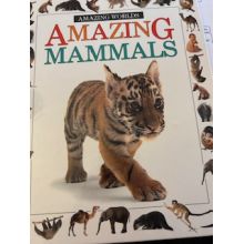 Amazing Mammals