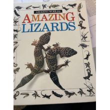 Amazing Lizards