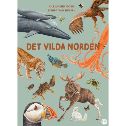 Det vilda norden