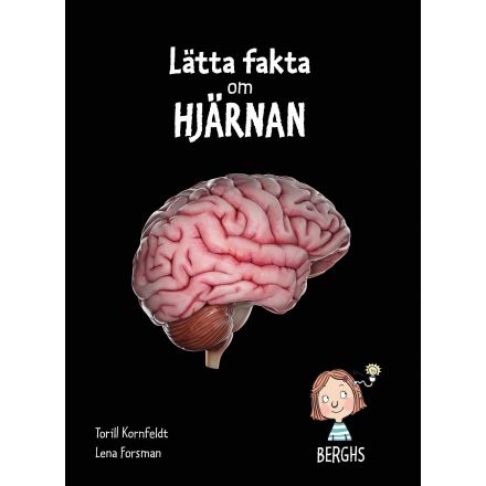 Lätta fakta om hjärnan