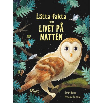 Lätta fakta om Livet på natten