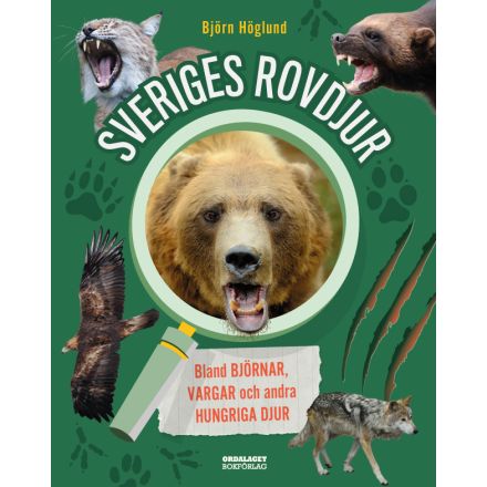 Sveriges rovdjur Bland björnar, vargar och andra hungriga djur