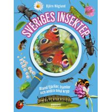 Sveriges insekter: Bland fjärilar, humlor och andra små kryp