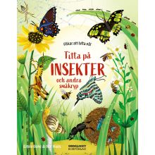 Titta på insekter och andra småkryp