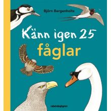 Känn igen 25 fåglar