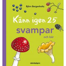 Känn igen 25 svampar och bär