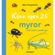 Känn igen 25 myror och andra småkryp