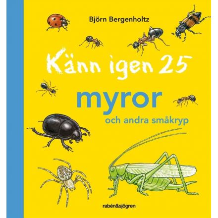 Känn igen 25 myror och andra småkryp