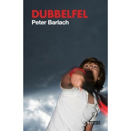 Dubbelfel REA