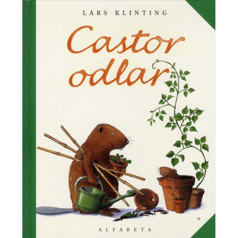 Castor odlar