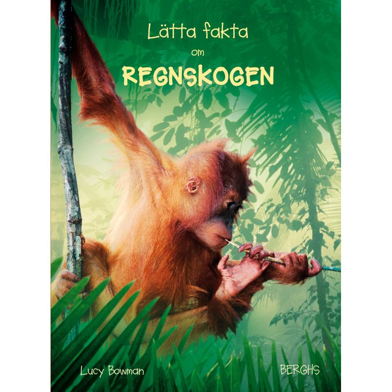 Lätta fakta om Regnskogen