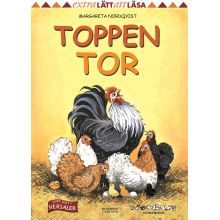 Toppen Tor