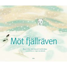 Möt fjällräven