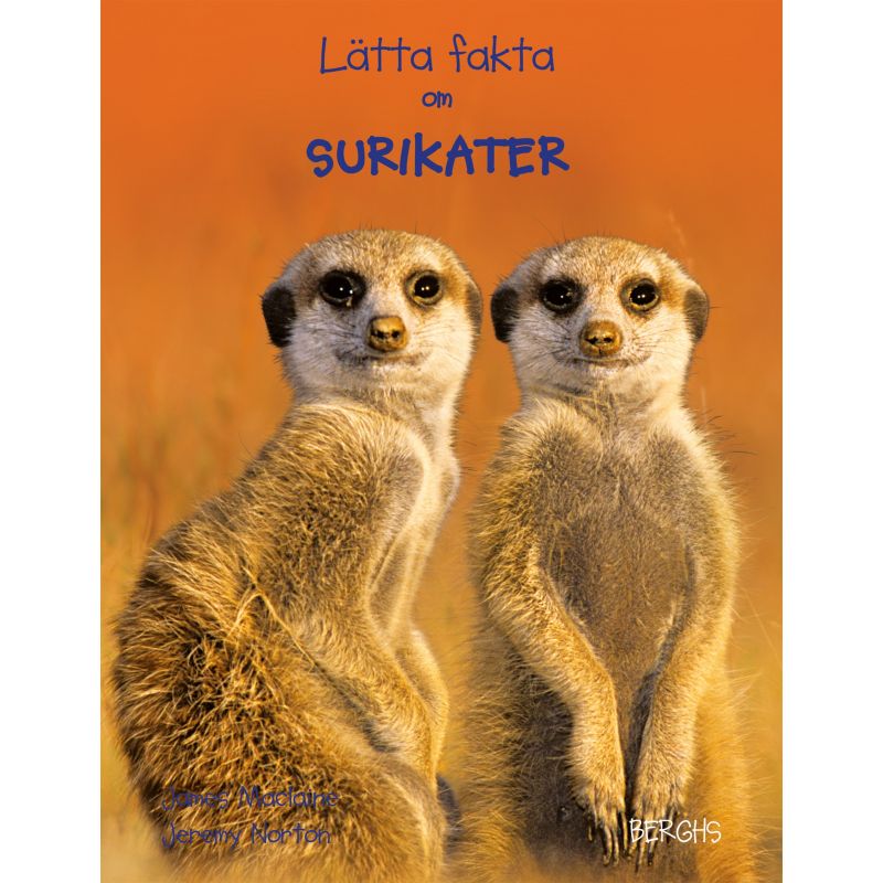 Lätta fakta om - Surikater