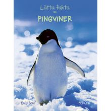 Lätta fakta om Pingviner