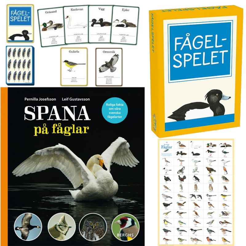 Lär dig att spana på fåglar med det här bokpaketet Lär dig att spana på fåglar med det här bokpaketet