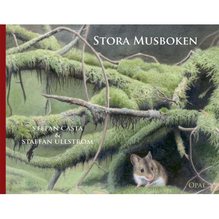 Stora Musboken