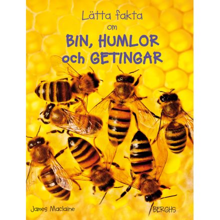 Lätta fakta om bin, humlor och getingar