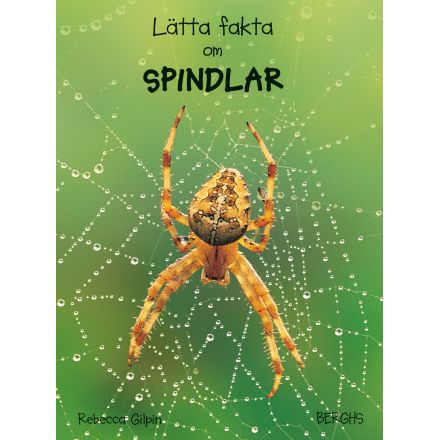 Lätta fakta om Spindlar