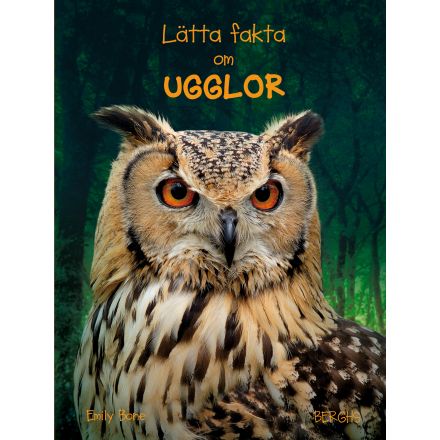 Lätta fakta om ugglor