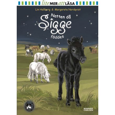 Natten då Sigge föddes