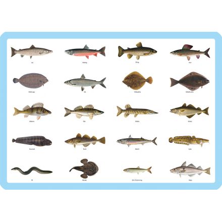 Svenska Fiskar underlägg