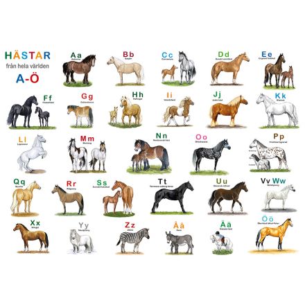 Hästar från hela världen underlägg