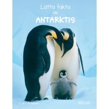 Lätta fakta om Antarktis