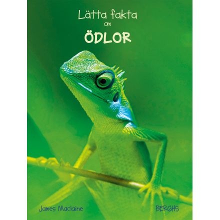 Lätta fakta om Ödlor