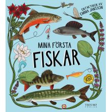 Mina första fiskar