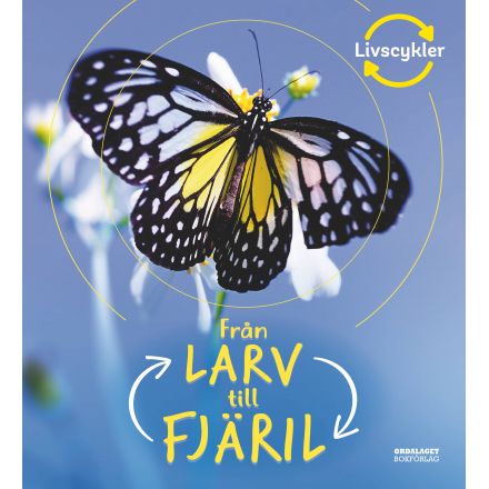 Från larv till fjäril
